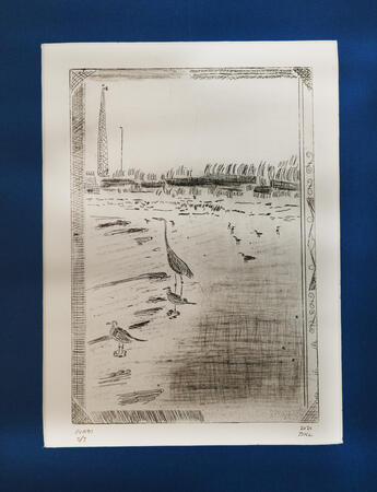 Birds. 2024, Hard ground intaglio.