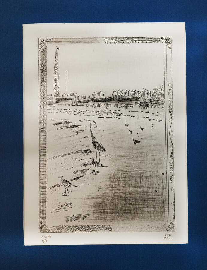 Birds. 2024, Hard ground intaglio.